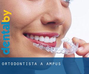 Ortodontista a Ampus