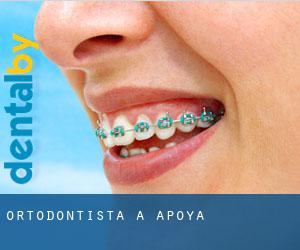Ortodontista a Apoya