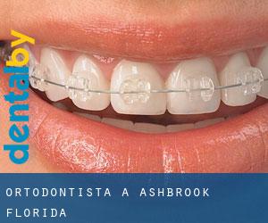 Ortodontista a Ashbrook (Florida)