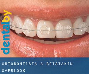 Ortodontista a Betatakin Overlook