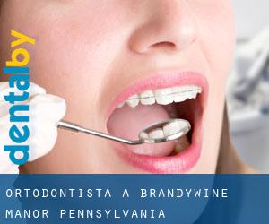 Ortodontista a Brandywine Manor (Pennsylvania)