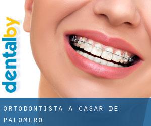 Ortodontista a Casar de Palomero