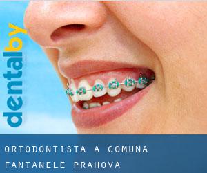 Ortodontista a Comuna Fântânele (Prahova)