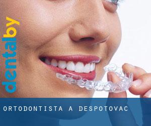 Ortodontista a Despotovac