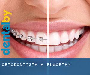Ortodontista a Elworthy