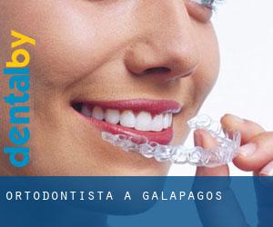 Ortodontista a Galápagos
