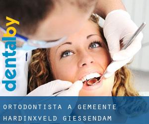 Ortodontista a Gemeente Hardinxveld-Giessendam