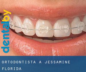 Ortodontista a Jessamine (Florida)