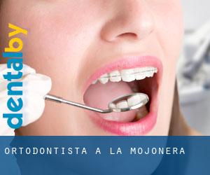 Ortodontista a La Mojonera
