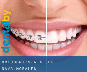 Ortodontista a Los Navalmorales