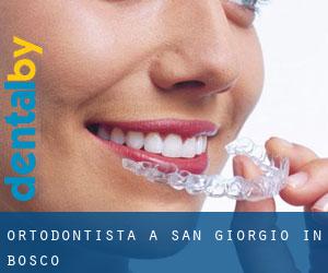 Ortodontista a San Giorgio in Bosco