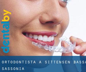 Ortodontista a Sittensen (Bassa Sassonia)