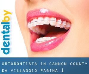 Ortodontista in Cannon County da villaggio - pagina 1