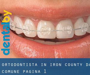 Ortodontista in Iron County da comune - pagina 1