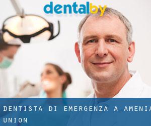 Dentista di emergenza a Amenia Union