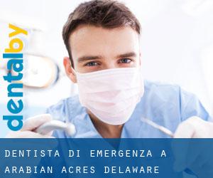 Dentista di emergenza a Arabian Acres (Delaware)