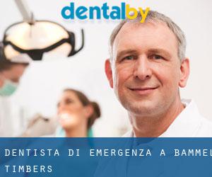 Dentista di emergenza a Bammel Timbers