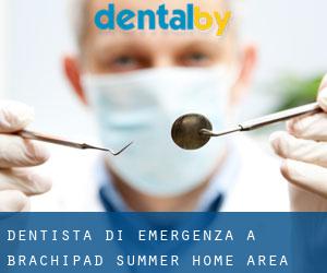 Dentista di emergenza a Brachipad Summer Home Area