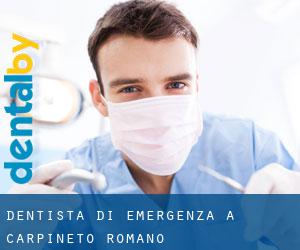Dentista di emergenza a Carpineto Romano