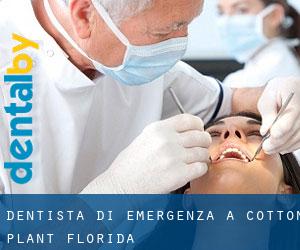 Dentista di emergenza a Cotton Plant (Florida)