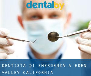 Dentista di emergenza a Eden Valley (California)