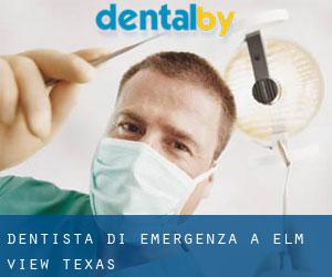 Dentista di emergenza a Elm View (Texas)