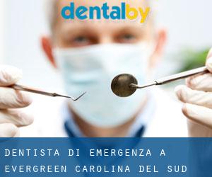 Dentista di emergenza a Evergreen (Carolina del Sud)