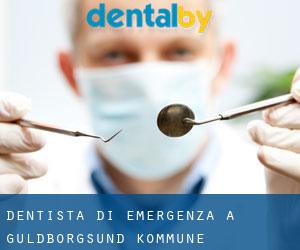 Dentista di emergenza a Guldborgsund Kommune