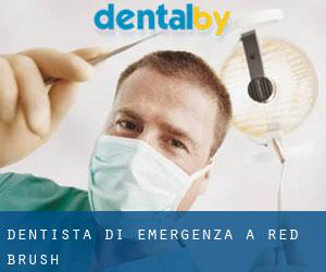 Dentista di emergenza a Red Brush