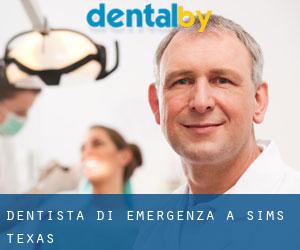 Dentista di emergenza a Sims (Texas)