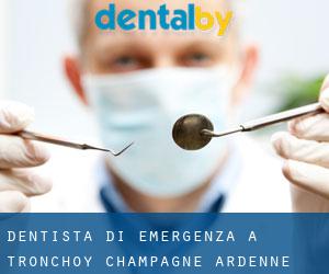 Dentista di emergenza a Tronchoy (Champagne-Ardenne)