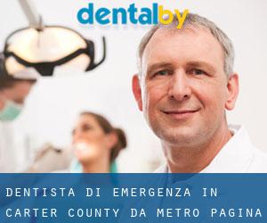 Dentista di emergenza in Carter County da metro - pagina 1