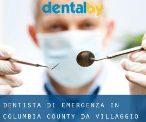 Dentista di emergenza in Columbia County da villaggio - pagina 1