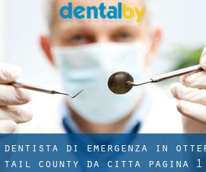 Dentista di emergenza in Otter Tail County da città - pagina 1
