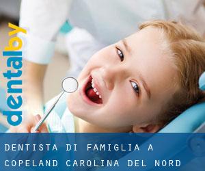 Dentista di famiglia a Copeland (Carolina del Nord)