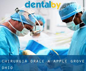 Chirurgia orale a Apple Grove (Ohio)