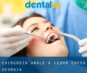 Chirurgia orale a Cedar Creek (Georgia)