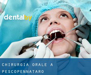 Chirurgia orale a Pescopennataro