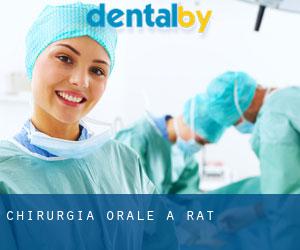Chirurgia orale a Rat