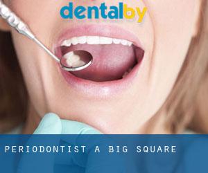 Periodontist a Big Square