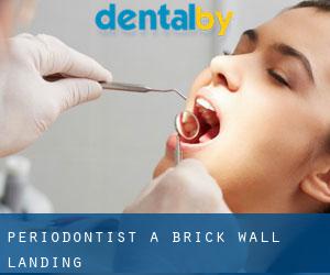 Periodontist a Brick Wall Landing