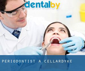 Periodontist a Cellardyke