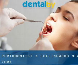 Periodontist a Collingwood (New York)