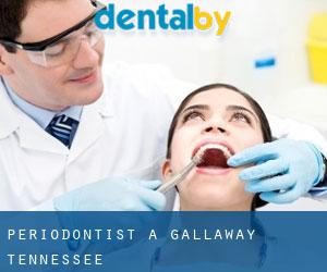 Periodontist a Gallaway (Tennessee)