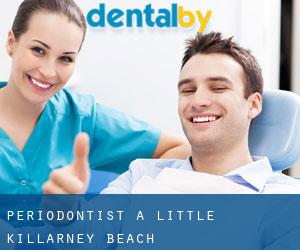 Periodontist a Little Killarney Beach