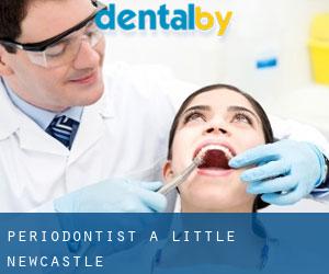 Periodontist a Little Newcastle