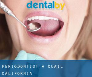 Periodontist a Quail (California)