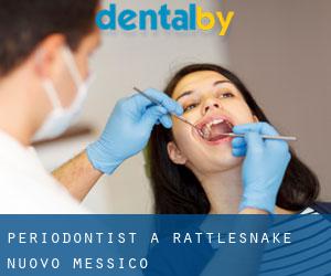 Periodontist a Rattlesnake (Nuovo Messico)