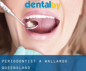 Periodontist a Wallaroo (Queensland)