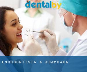 Endodontista a Adamówka